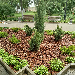 Хвойная мульча в Якутске купить - оперативная доставка по всей России
